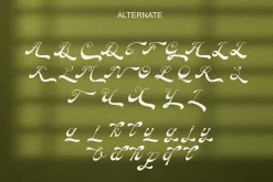 Carmeyla - Bold Script Display Font