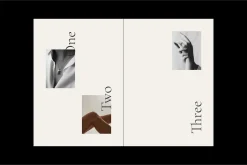 CAROLE Creative Portfolio