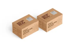 Carton Box Mockup