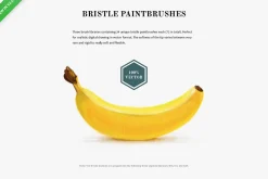 Cartoonist Brushes for Illustrator