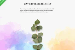 Cartoonist Brushes for Illustrator