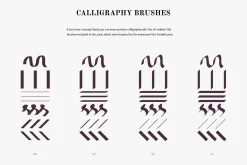 Cartoonist Brushes for Illustrator