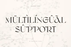 CARVES - Modern Display Font
