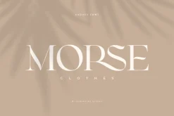 CARVES - Modern Display Font