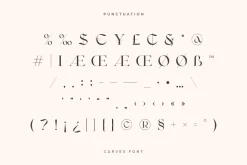 CARVES - Modern Display Font