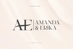 CARVES - Modern Display Font