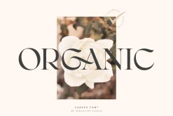 CARVES - Modern Display Font