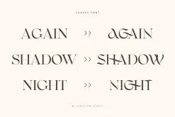 CARVES - Modern Display Font