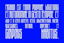 Cas Layeer Max Condensed Display