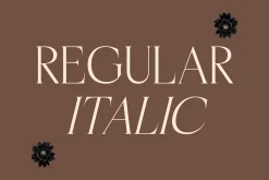 Casselin Modern Serif Font
