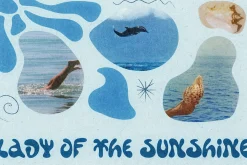 Castaway Display
