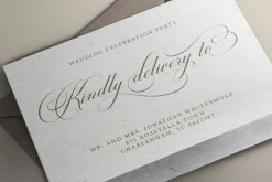 Castering Calligraphy Pro