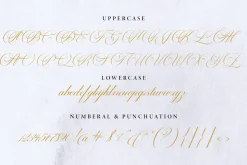 Castering Calligraphy Pro