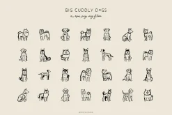 CATS & DOGS illustrations