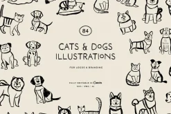 CATS & DOGS illustrations