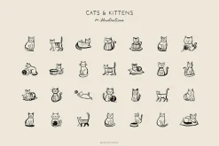 CATS & DOGS illustrations