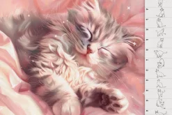 Cats Procreate Photoshop brushes
