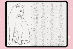 Cats Procreate Photoshop brushes