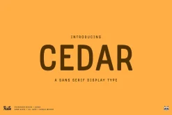 Cedar Display Font