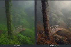 Cedar Lightroom Presets & LUTs