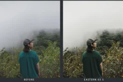 Cedar Lightroom Presets & LUTs