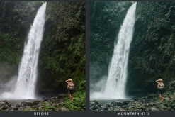 Cedar Lightroom Presets & LUTs