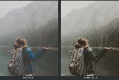 Cedar Lightroom Presets & LUTs