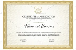 Certificate263