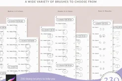 Character Brush Box