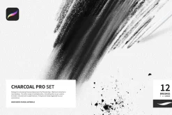 Charcoal Pro Set for Procreate App