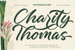 Charity Thomas Bold Calligraphy