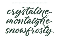 Charity Thomas Bold Calligraphy