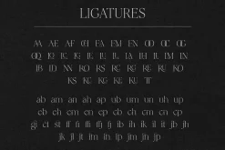 CHARM Mirage – Classic Serif Font