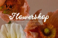 Charming Letters – Elegant Font