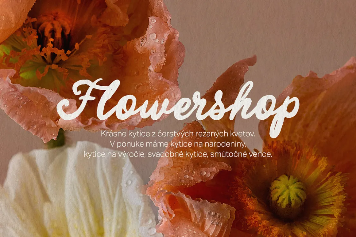 Charming Letters – Elegant Font