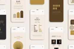 Chart & Graph Duo Palette CANVA PS