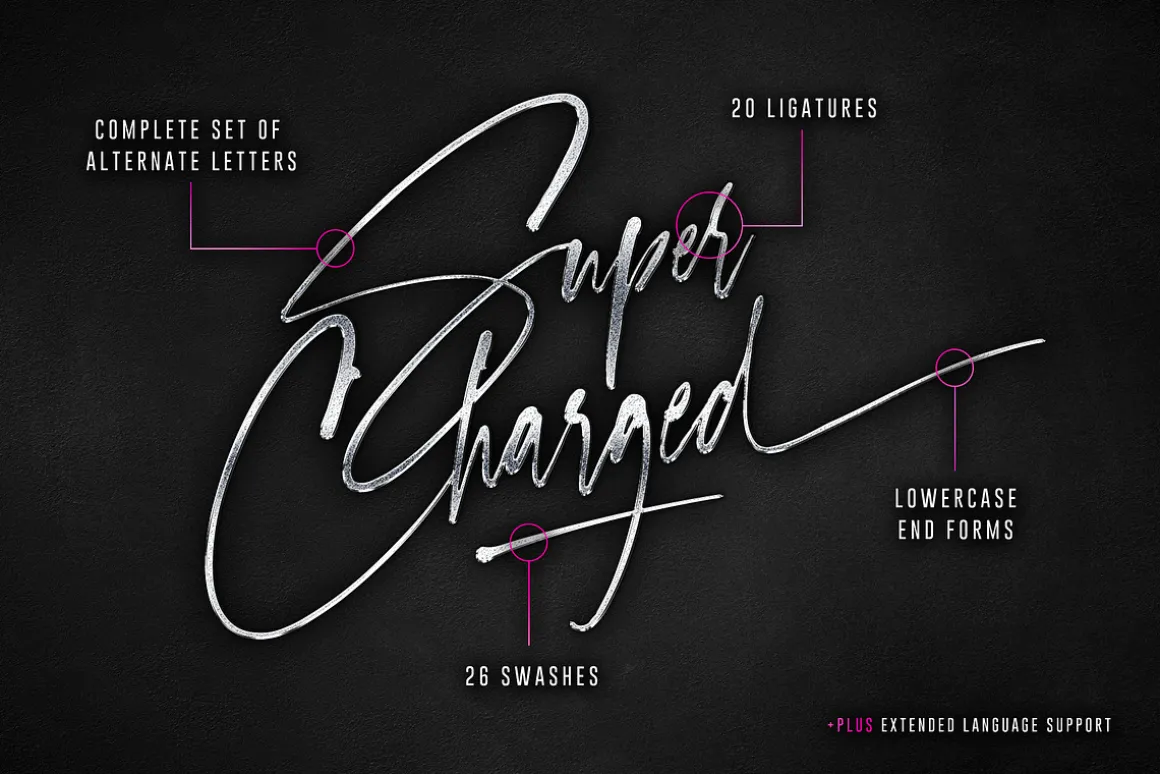 Checkpoint Signature Font