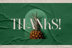 CHELON Classy Serif Font