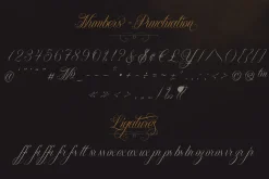 Chica Script Font