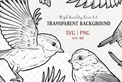 Chickadee Bird Vector Line Art Set