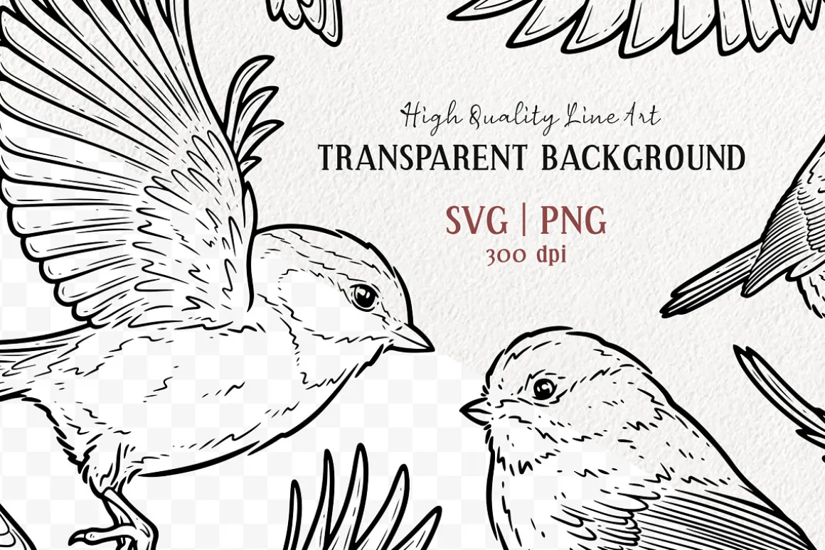 Chickadee Bird Vector Line Art Set