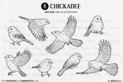 Chickadee Bird Vector Line Art Set