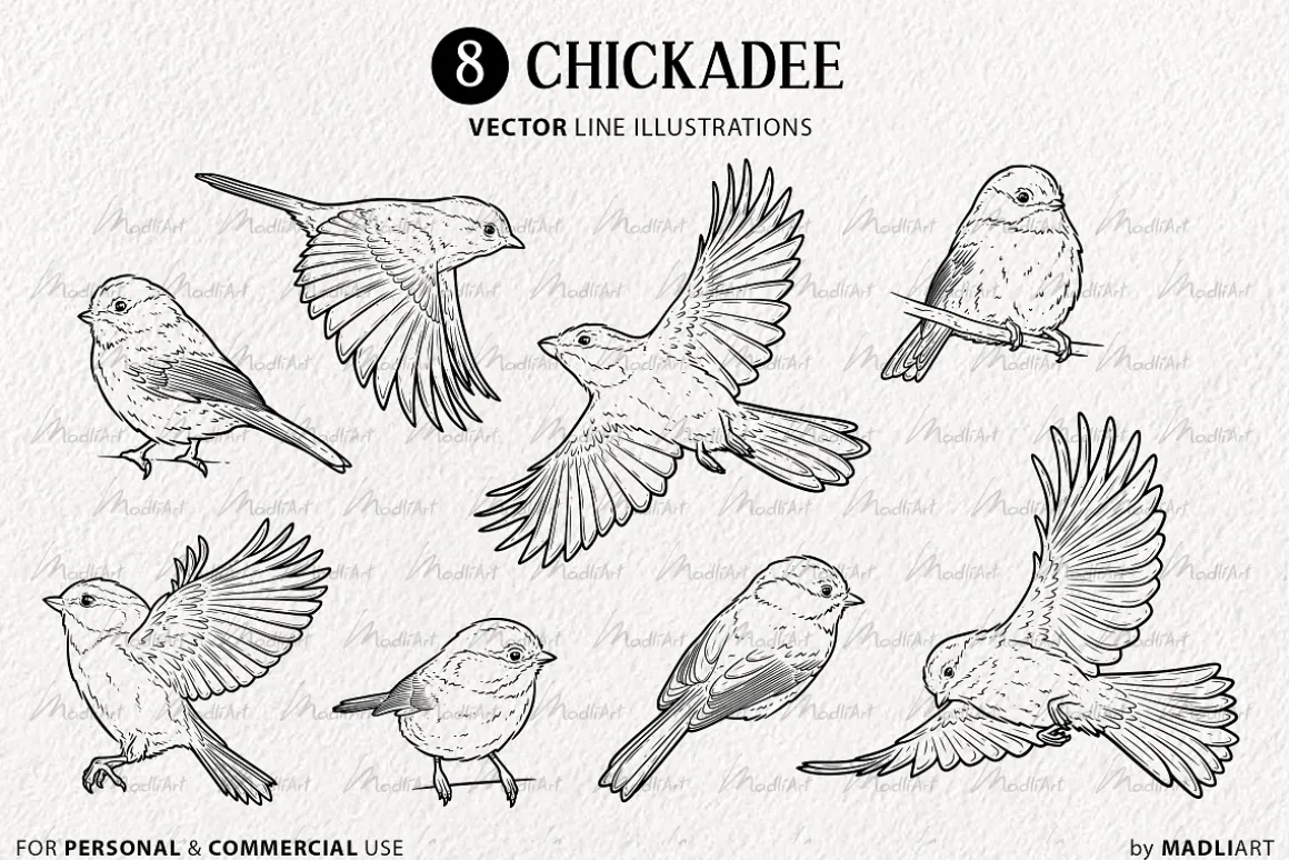 Chickadee Bird Vector Line Art Set