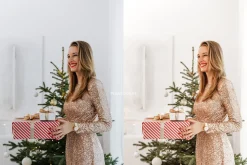 Christmas Lightroom Presets