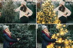 Christmas Trees photo overlays