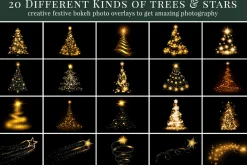Christmas Trees photo overlays