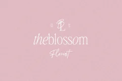 Chromate / Modern Serif Font Duo