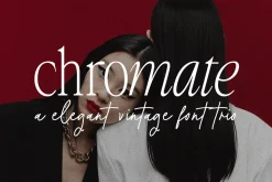 Chromate / Modern Serif Font Duo