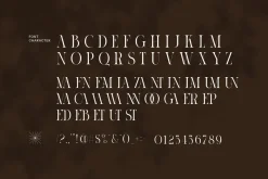 Cinema Authentic Elegant Serif Font