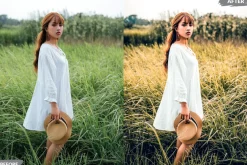 Cinematic Forest Lightroom Presets